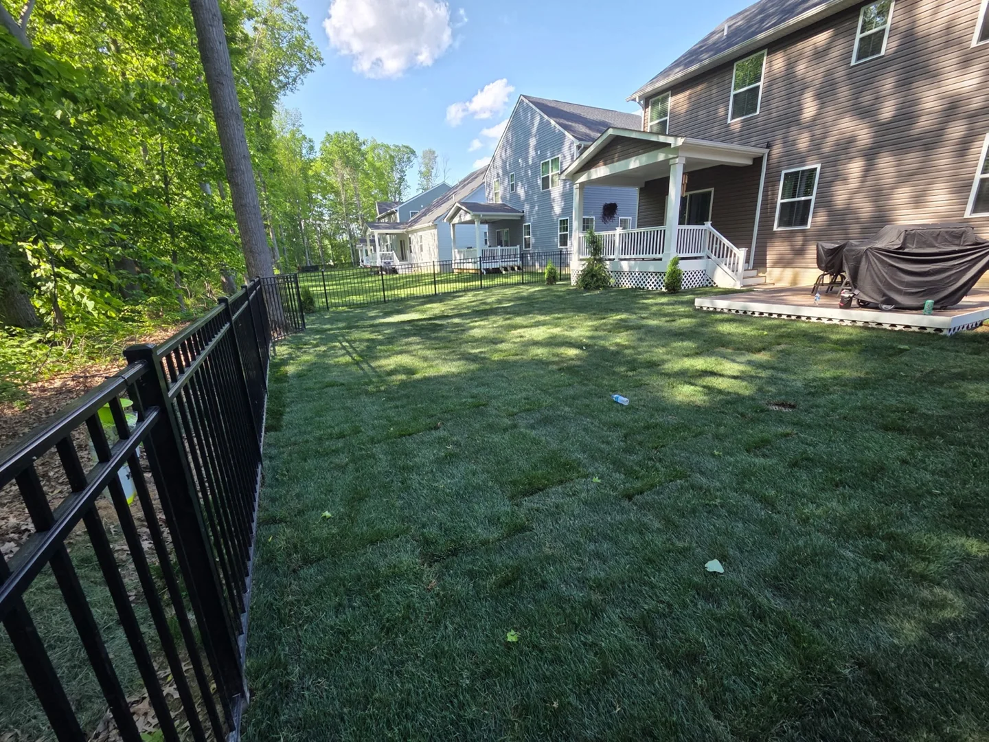 Fresh sod installed across a backyard beside a fence and house